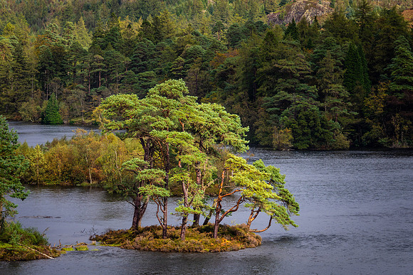 Tarn Hows, Lake District
