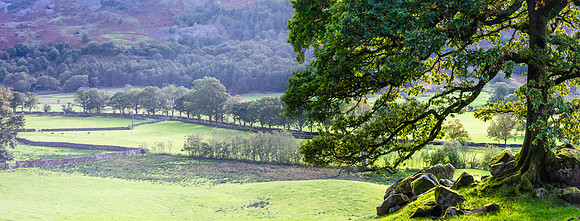 Great Langdale, Lake District