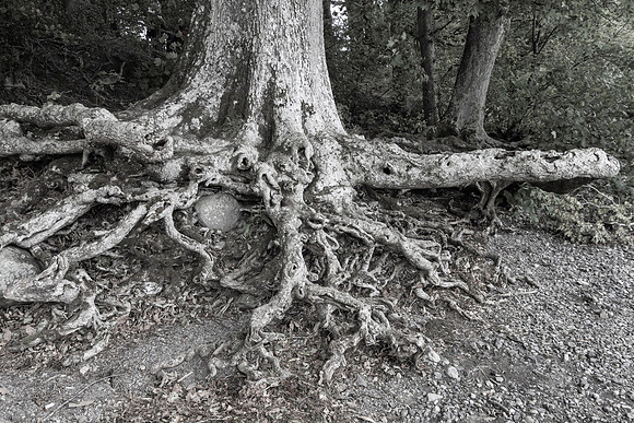 Friar's Crag, Derwentwater, Lake District