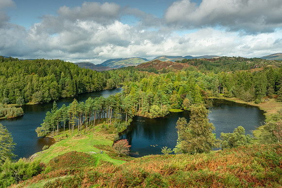 Tarn Hows, Lake District
