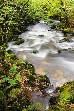 Stock Ghyll Force, Lake District