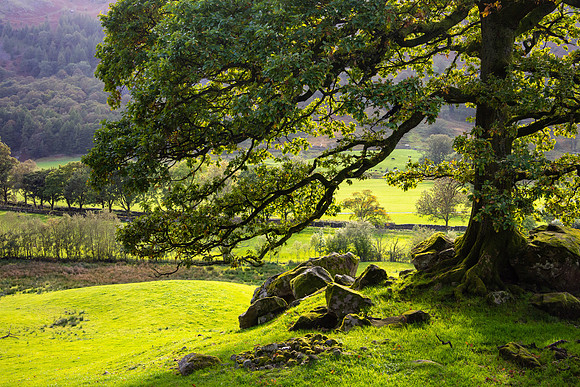 Great Langdale, Lake District