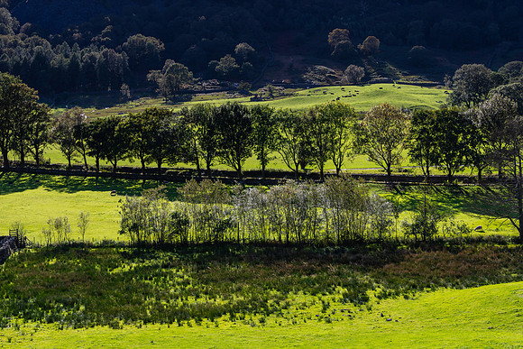 Great Langdale, Lake District