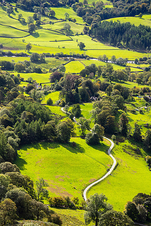 Loughrigg Fell, Lake District