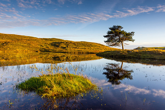 Kelly Hall Tarn, Lake District