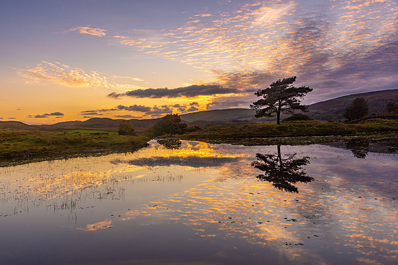 Kelly Hall Tarn, Lake District