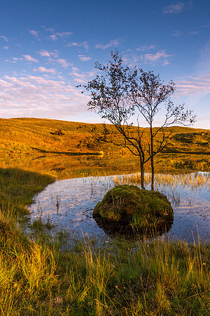 Kelly Hall Tarn, Lake District