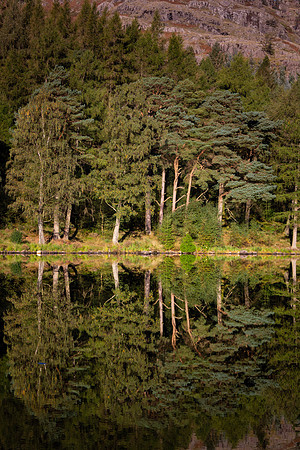 Blea Tarn, Lake District
