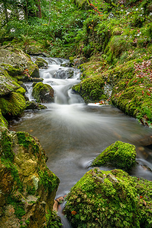 Tom Ghyll Falls, Lake District