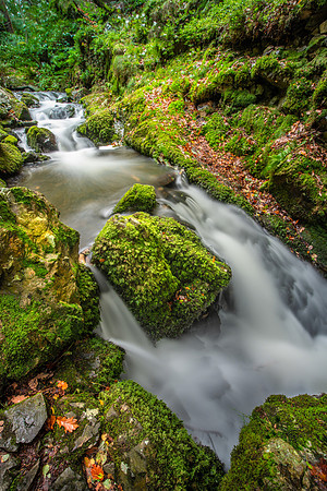 Tom Ghyll Falls, Lake District