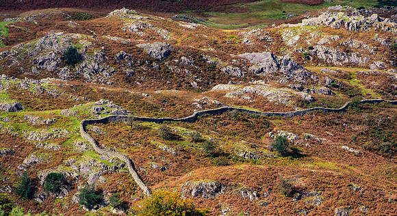 Loughrigg Fell, Lake District