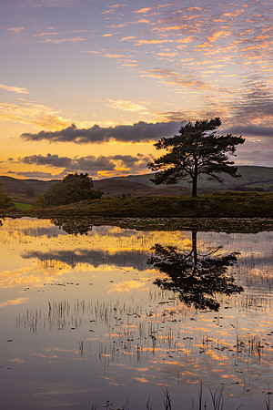 Kelly Hall Tarn, Lake District