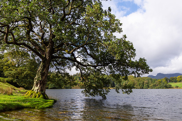 Loughrigg Tarn, Lake District