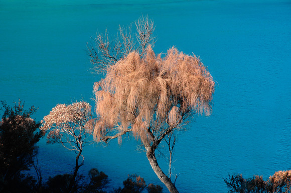 DSC_0242.JPG