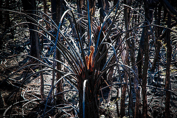 DSC_0108.JPG