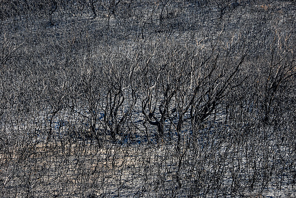 _D208278
