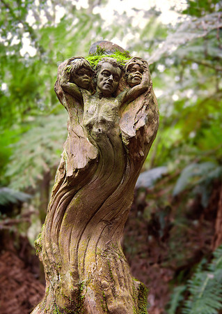 Ricketts' Sanctuary I
