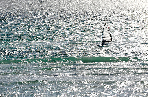 Windsurfer