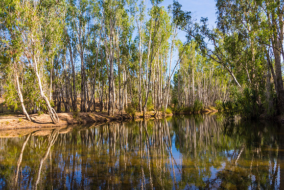 Creek near Drysdale Station II