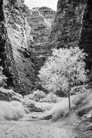 Cathedral Gorge, Infra-red II, Purnululu