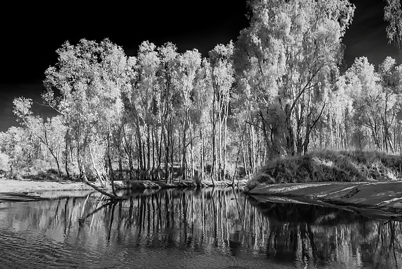 Creek near Drysdale Station. Infra-red I