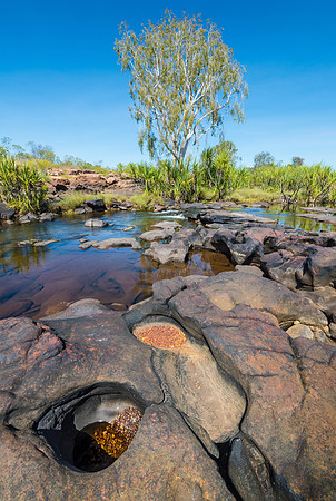 King Edward River IV