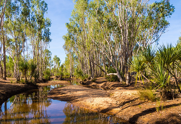 Creek near Drysdale Station I