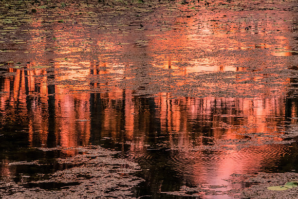 Ord River I, Kununurra, Sunrise