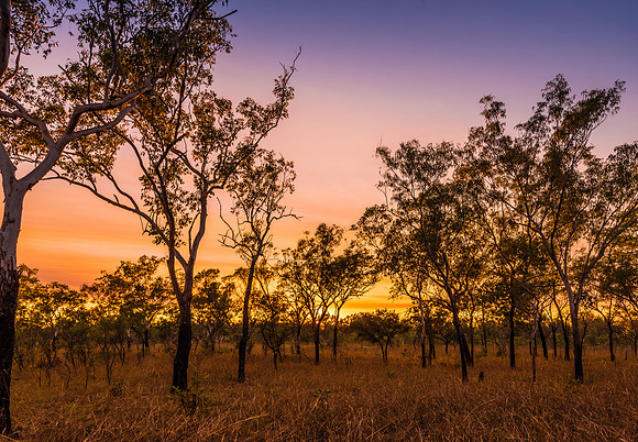 King Edward River Sunrise
