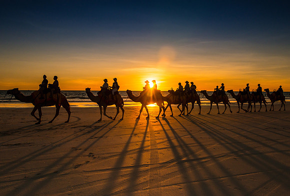 Camels I, Cable Beach, Broome