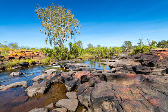 King Edward River III