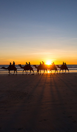 Camels II, Cable Beach, Broome