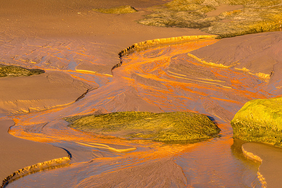 Cape Leveque Reflections I