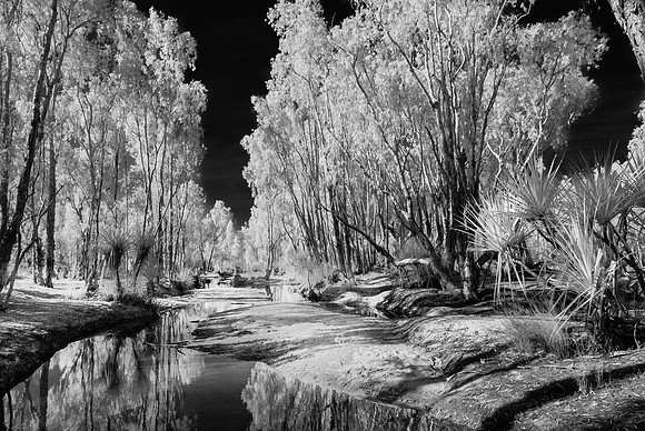 Creek near Drysdale Station Infra-red II