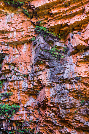 Emma Gorge, Rockface