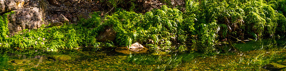 Emma Gorge Creek, Panorama