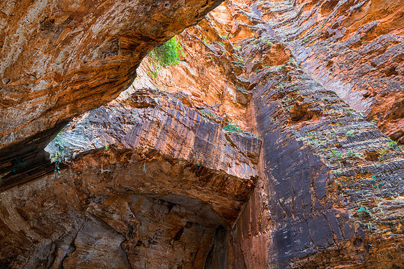 Cathedral Gorge II, Purnululu
