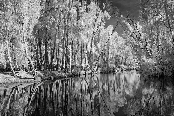 Creek near Drysdale Station Infra-red III