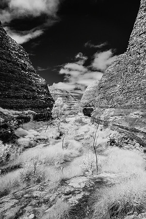 Cathedral Gorge Infra-red III, Purnululu