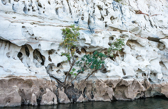 Geikie Gorge Rock Formations III