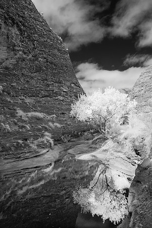 Cathedral Gorge Waterhole II, Infra-red, Purnululu