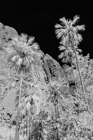 Echidna Chasm, Infra-red I, Purnululu