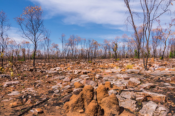 Outback Burn near Pentecost River