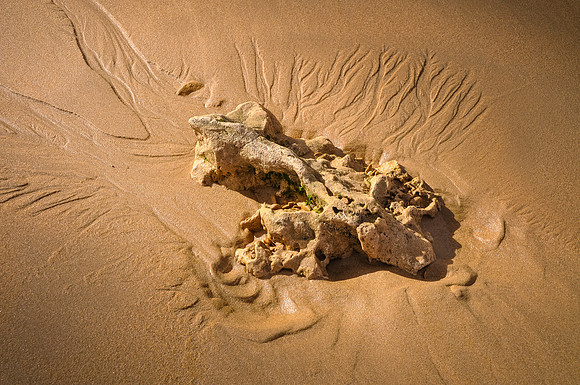 Darby Rock Face