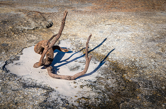 Driftwood Squeaky Beach