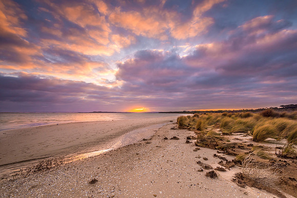 Shallow Inlet Dawn I