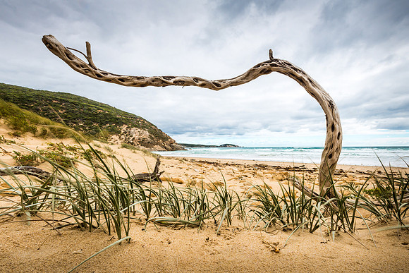 Darby Beach III