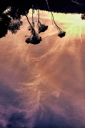 Tidal River Reflections II