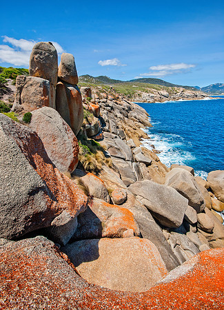 Tongue Point_4