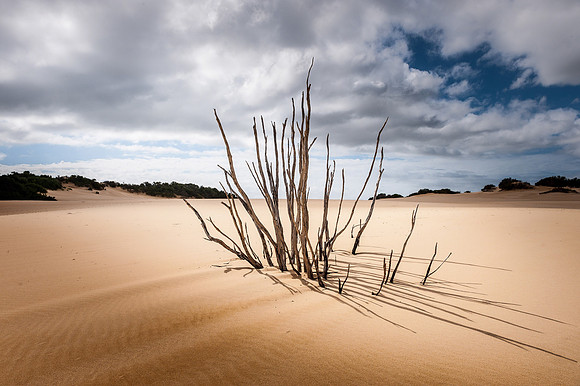 Drought – Little Drift